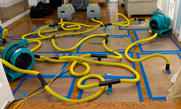 Professional Basement Flood Cleanup technician working in La Crescent, MN